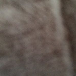 Meet your Posher, Daisy